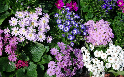 593338 (a): :2560x1600